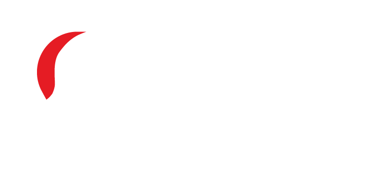 Vargas camión icono